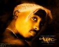 /album/foto/tupac-shakur-in-tupac-resurrection-wallpaper-1-1280-jpg1/